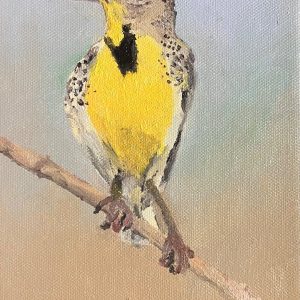 Ibrahim Suleiman - Western Meadowlark - Oil- No Website