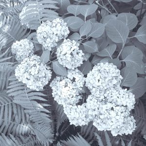 Richard Michaud - Untitled - Digital Photography- https://shmtsukge.cc