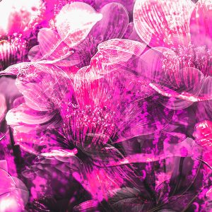 Kylo-Patrick Hart - Pink Springtime - Digital Photograph- https://www.kylohart.com