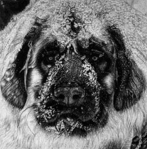 Tanya Finch - I am home - graphite- https://www.facebook.com/tanya.finch3