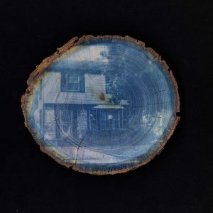 True Blue Art Exhibition 2026 2 Amara Murphy Where We Grew Roots - cyanotype on organic materials - https-//amarammurphy.myportfolio.com/work