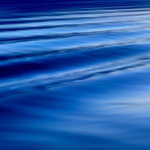 The Song - Digital Photography - https://www.instagram.com/bbbeaglebearphotography Brigitte B Burckhardt - The Song - Digital Photography - https://www.instagram.com/bbbeaglebearphotography