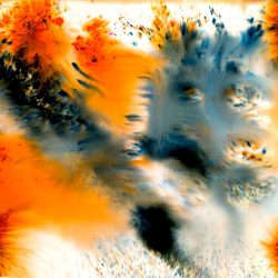 Coty Cisne - Minnows - Pure pigment and water on watercolor paper, Pure Pigment and water on watercolor paper, Pure pigment and water on watercolor paper - https://www.cotycisne.com