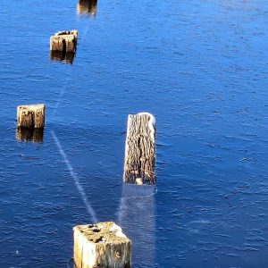 Randall Rick - Icy blue - Photography - digitalcameraworld.com