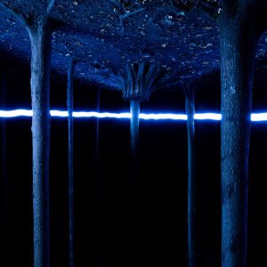 True Blue Art Exhibition 2026 1 | Blue Koi Gallery