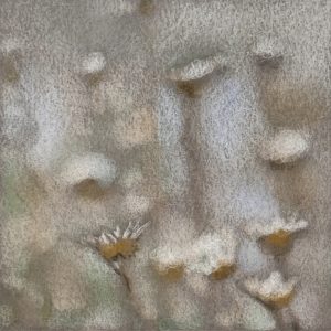 Lael Salaets - Into the Weeds No. 2 - Colored pencil- https://www.instagram.com/lael_salaets