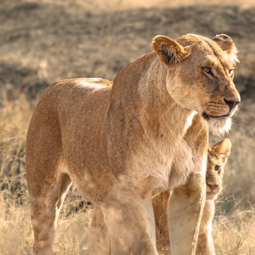 Katie Palmer - On the Hunt Together