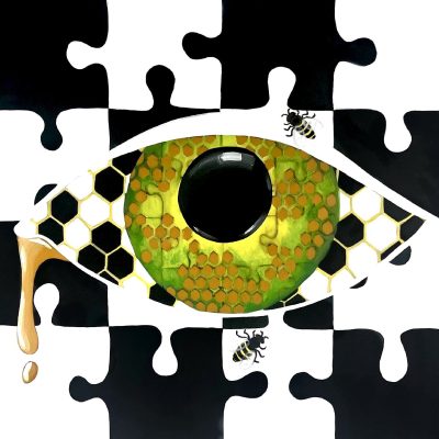 Tara LeGall-Pieces to the Puzzle Pure Honey