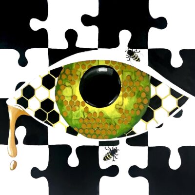 Tara LeGall-Pieces to the Puzzle Pure Honey