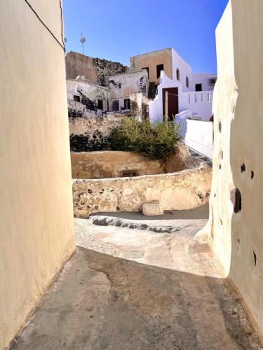 Aalia Solomon - The Optimist