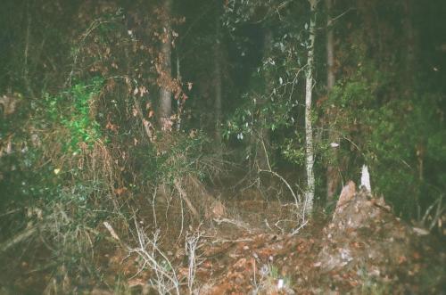 Alberto Alonso -Night'sEdge