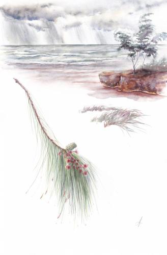 Anastasia Maximova - Tempest’s Sentinel