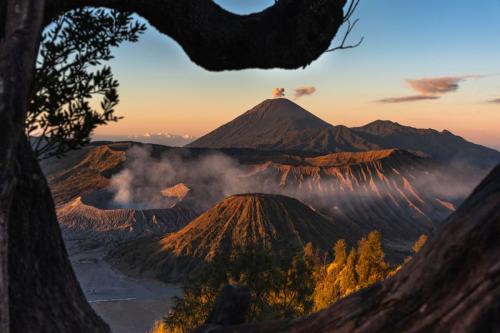 Andreia Costa - First Light