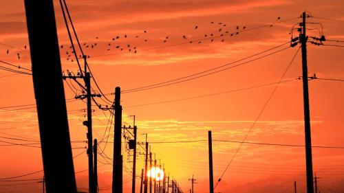 CHAO YANG HUANG-go home