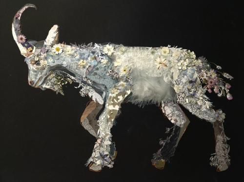 Caitlin Gill - Unicorn 1