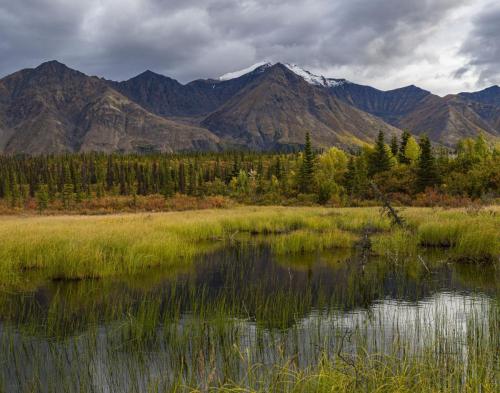 A Break in the Storm