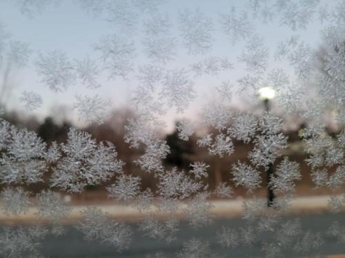 Cecilia B Martinic_Morning Snowflakes 2