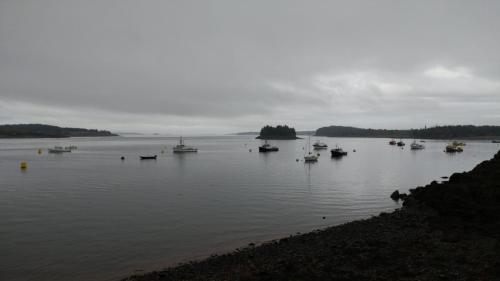 Cecilia B Martinic_Still grey