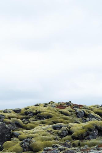 Cesare Riccrdi - Rothko