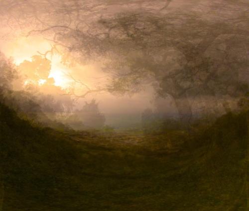 Dan Nilsson - Ancient Gibraltar