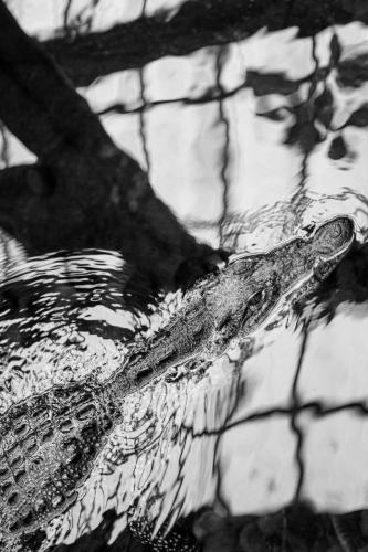 Danielle Sargeant_Ripple Effect_Photography