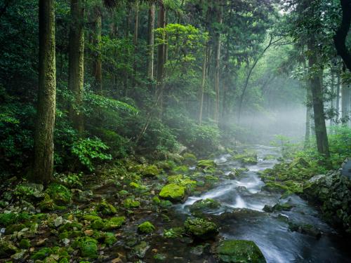 DavideSoliani_HiddenMistyRiver