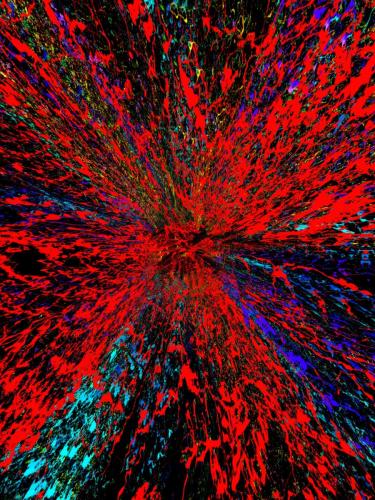 Derrick Whaley - Inyourface #7