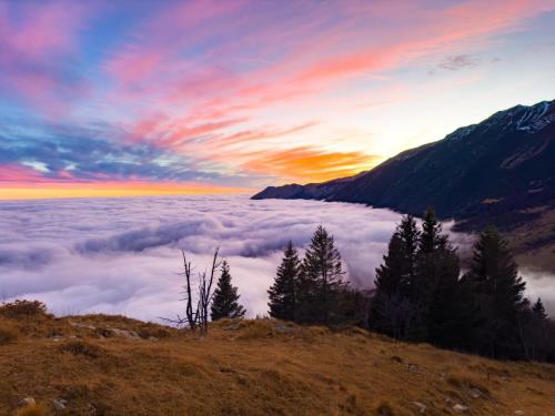 Federico Rossi - The last piece of cake