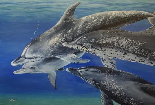 Gillian Muir - Bright Spot