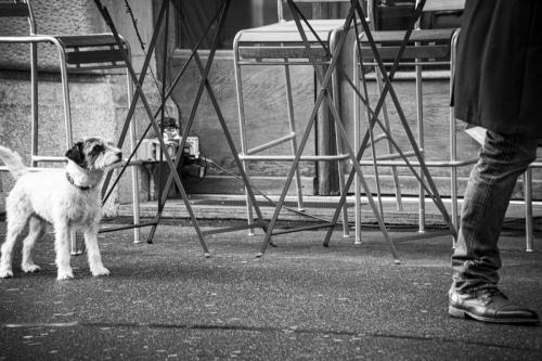 Kylo-Patrick Hart - Alert