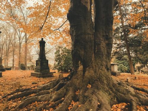 Maggie Dreier- Meet Me at Our Spot