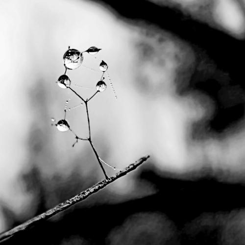 Matthias Krispien-Juggler without a net and double bottom