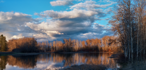 Olin Anderson - Songs of Spring