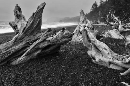 Robert Nowak-Rialto Beach