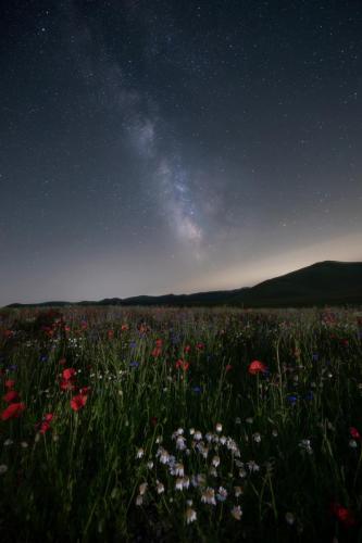 Sara-Siani-Follow the Milkyway