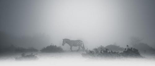 Sean Owens -Ghosting Through the Mara