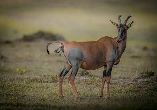 Sean Owens - New Beginnings