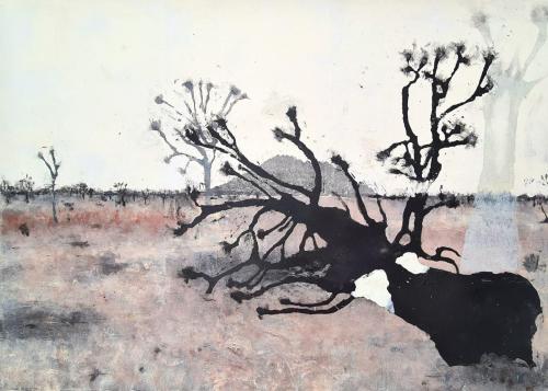 Stewart Taylor_Cima Dome Fire XIV