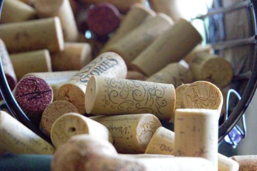 Tara Hobbs - Untitled1