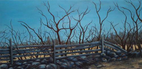 Tara Nix-Split-Rail-acrylic
