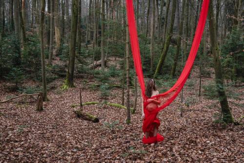 Tiago Cabrita - Vermillion-1