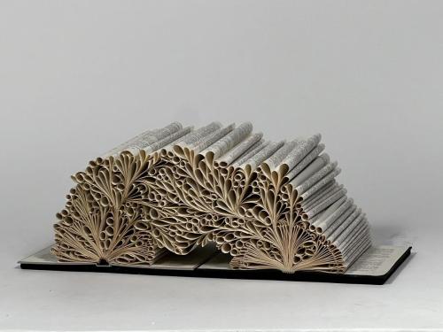 Zoe Congdon Connected