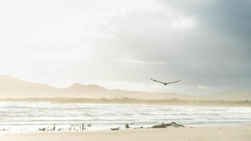 matthew_lapuck_the island of fire, water and dreams